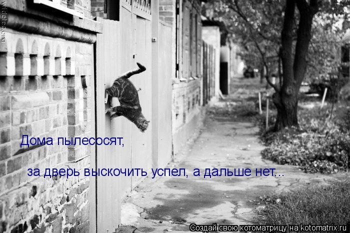 Котоматрица: Дома пылесосят,  за дверь выскочить успел, а дальше нет...
