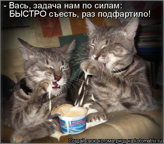 Котоматрица: - Вась, задача нам по силам: БЫСТРО съесть, раз подфартило!
