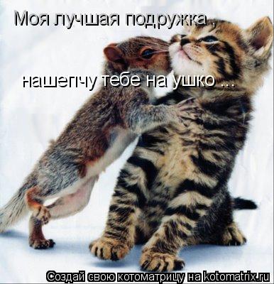 Котоматрица: Моя лучшая подружка , нашепчу тебе на ушко ...
