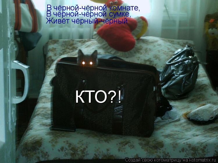 Котоматрица: В чёрной-чёрной комнате, В чёрной-чёрной сумке, Живёт чёрный-чёрный КТО?!