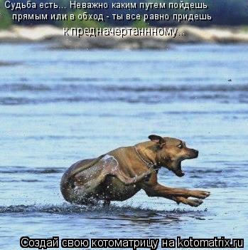 Котоматрица: Судьба есть... Неважно каким путем пойдешь  прямым или в обход - ты все равно придешь  к предначертаннному...