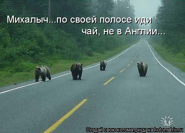 Михалыч...по своей полосе иди чай, не в Англии...... Котоматрица: Михалыч...по своей полосе иди чай, не в Англии...