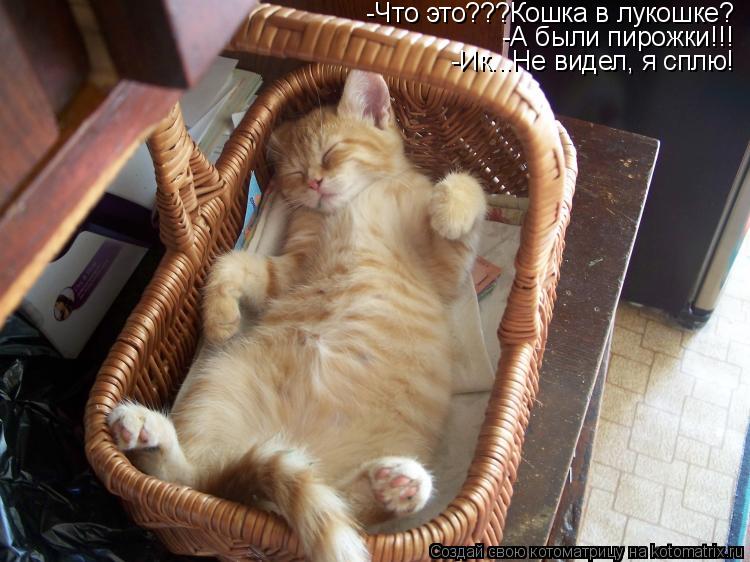 -Что это???Кошка в лукошке? -А были пирожки!!! -Ик...Не видел, я сплю!... Котоматрица: -Что это???Кошка в лукошке? -А были пирожки!!! -Ик...Не видел, я сплю!