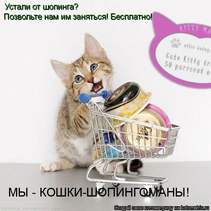 Котоматрица: Устали от шопинга? Позвольте нам им заняться! Бесплатно! МЫ - КОШКИ-ШОПИНГОМАНЫ!