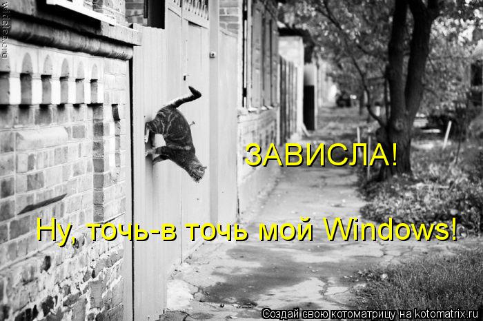 ЗАВИСЛА! Ну, точь-в точь мой Windows!... Котоматрица: ЗАВИСЛА! Ну, точь-в точь мой Windows!