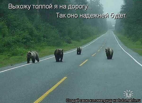 Выхожу толпой я на дорогу... Так оно надежней будет.... Котоматрица: Выхожу толпой я на дорогу... Так оно надежней будет.