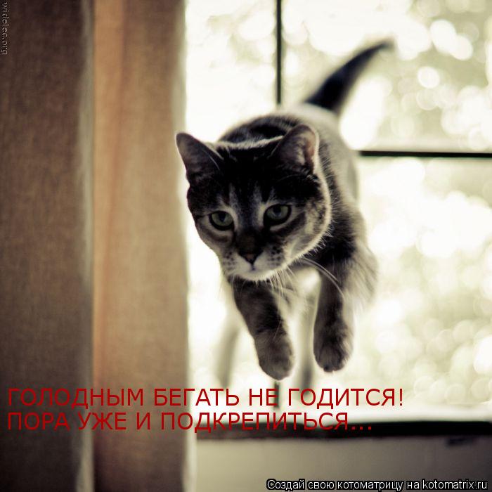 ГОЛОДНЫМ БЕГАТЬ НЕ ГОДИТСЯ! ПОРА УЖЕ И ПОДКРЕПИТЬСЯ...... Котоматрица: ГОЛОДНЫМ БЕГАТЬ НЕ ГОДИТСЯ! ПОРА УЖЕ И ПОДКРЕПИТЬСЯ...