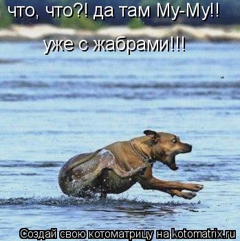 что, что?! да там Му-Му!! уже с жабрами!!!... Котоматрица: что, что?! да там Му-Му!! уже с жабрами!!!
