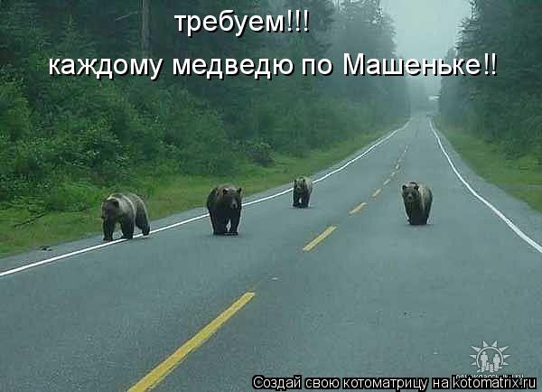 требуем!!! каждому медведю по Машеньке!!... Котоматрица: требуем!!! каждому медведю по Машеньке!!