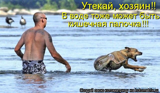 Котоматрица: Утекай, хозяин!! В воде тоже может быть кишечная палочка!!!
