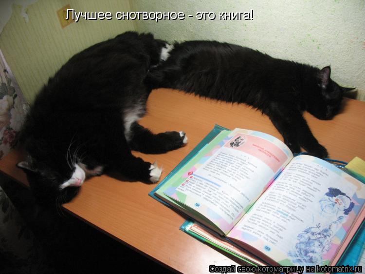Лучшее снотворное - это книга!... Котоматрица: Лучшее снотворное - это книга!