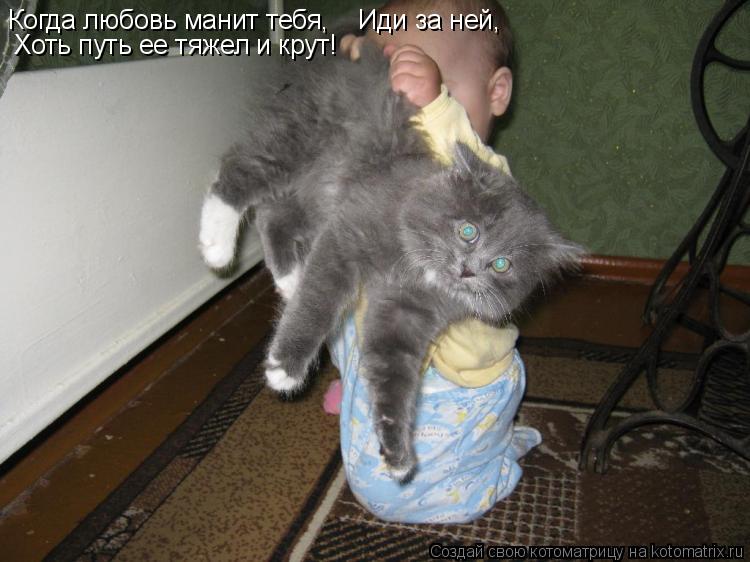 Котоматрица: Когда любовь манит тебя,    Иди за ней,    Хоть путь ее тяжел и крут!