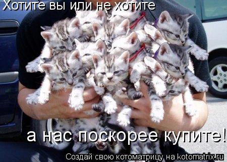 Котоматрица: Хотите вы или не хотите а нас поскорее купите!