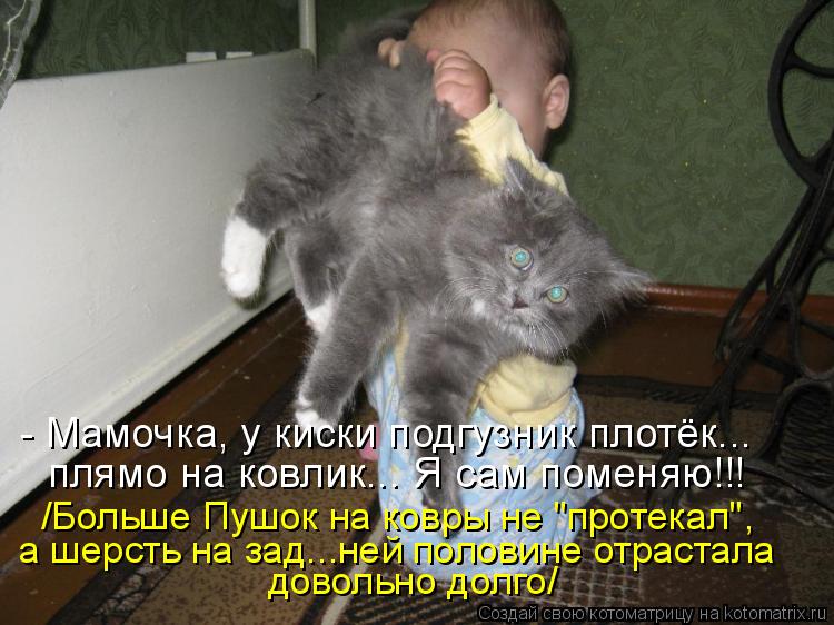 Котоматрица: - Мамочка, у киски подгузник плотёк... плямо на ковлик... Я сам поменяю!!! /Больше Пушок на ковры не "протекал", а шерсть на зад...ней половине отра