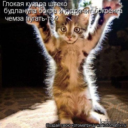 Котоматрица: Глокая куздра штеко  будланула бокра и кудрячит бокрёнка чемза пугать-то?