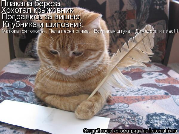 Котоматрица: Плакала береза, Хохотал крыжовник. Подрались за вишню, Клубника и шиповник. Матюкался тополь,   Пела песни слива.   Вот такая штука,   Димедрол