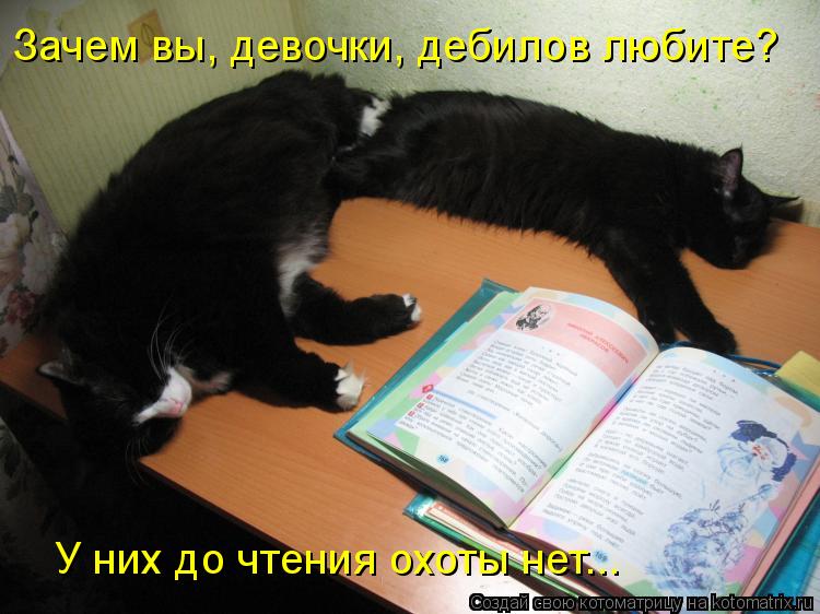 Котоматрица: Зачем вы, девочки, дебилов любите? У них до чтения охоты нет...