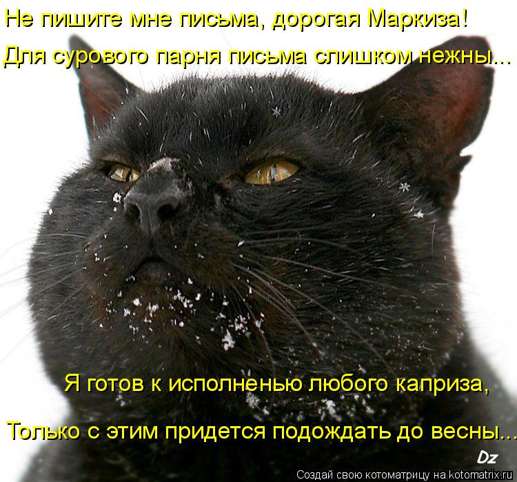 Не пишите мне письма, дорогая Маркиза! Для сурового парня письма слишком нежны... Я готов к исполнень... Котоматрица: Не пишите мне письма, дорогая Маркиза! Для сурового парня письма слишком нежны... Я готов к исполненью любого каприза, Только с этим придетс