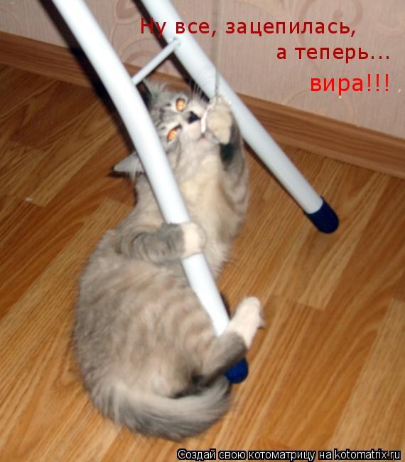 Ну все, зацепилась, а теперь... вира!!!... Котоматрица: Ну все, зацепилась, а теперь... вира!!!