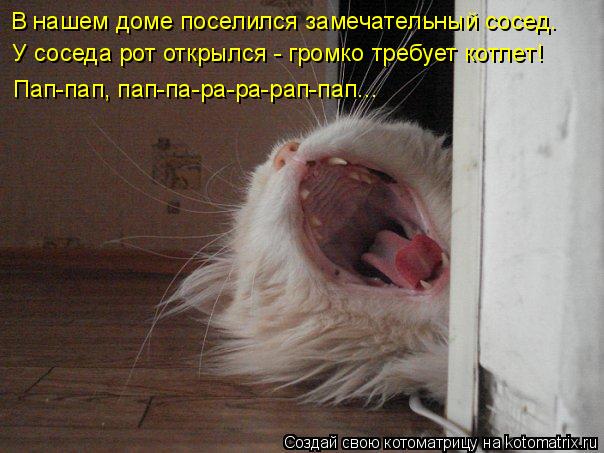 Котоматрица: В нашем доме поселился замечательный сосед. У соседа рот открылся - громко требует котлет!  Пап-пап, пап-па-ра-ра-рап-пап...