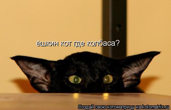 Котоматрица: ёшкин кот где колбаса?