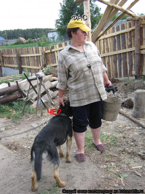 Котоматрица: ФАС ЧЕ? ЧЕ?