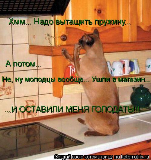 Котоматрица: Хмм... Надо вытащить пружину... А потом... ...И ОСТАВИЛИ МЕНЯ ГОЛОДАТЬ!!! Не, ну молодцы вообще... Ушли в магазин...