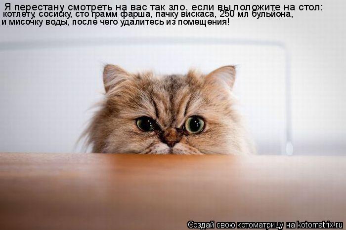 Котоматрица: Я перестану смотреть на вас так зло, если вы положите на стол: котлету, сосиску, сто грамм фарша, пачку вискаса, 250 мл бульйона, и мисочку воды,