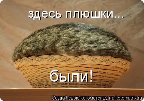 Котоматрица: здесь плюшки... были!
