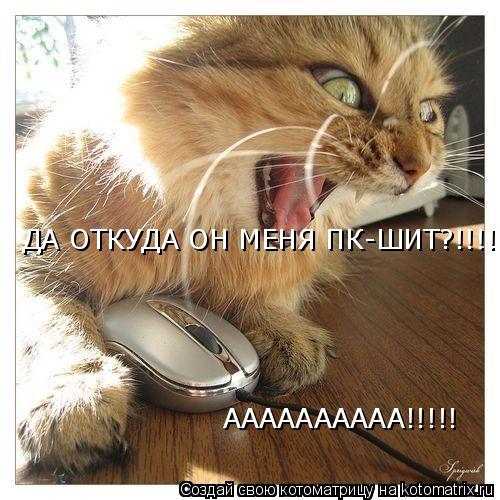 Котоматрица: ДА ОТКУДА ОН МЕНЯ ПК-ШИТ?!!!! АААААААААА!!!!!