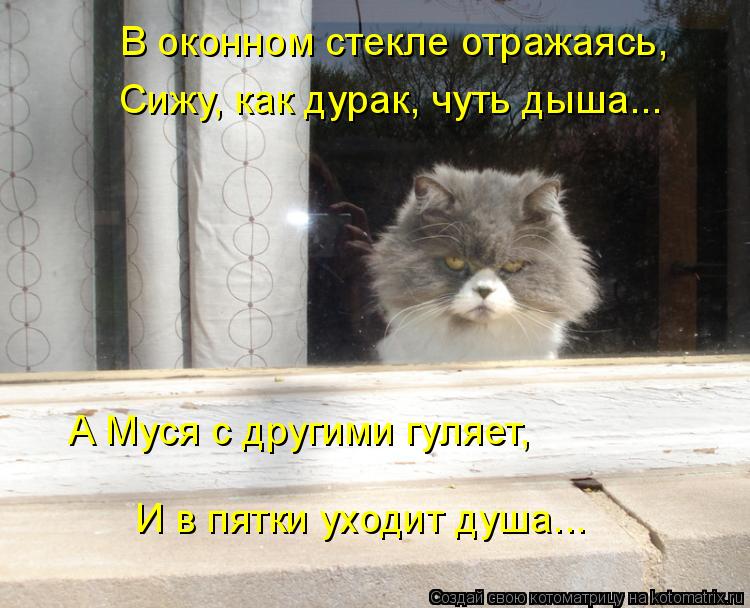 Котоматрица: А Муся с другими гуляет,  И в пятки уходит душа... В оконном стекле отражаясь,  Сижу, как дурак, чуть дыша...