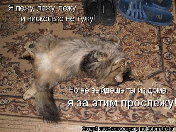 Котоматрица: Я лежу, лежу, лежу и нисколько не тужу! Но не выйдешь ты из дома, я за этим прослежу!