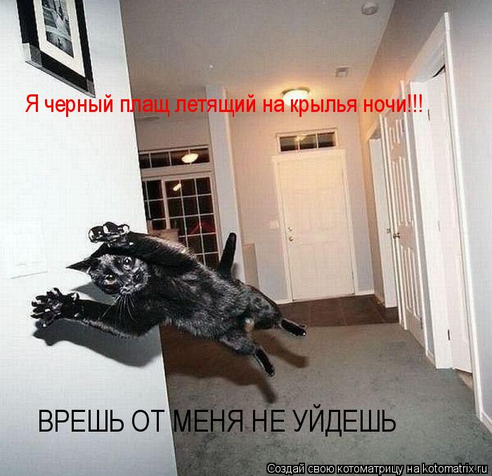 Котоматрица: Я черный плащ летящий на крылья ночи!!! ВРЕШЬ ОТ МЕНЯ НЕ УЙДЕШЬ