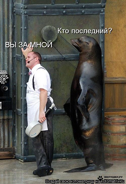 Котоматрица: Кто последний? ВЫ ЗА МНОЙ