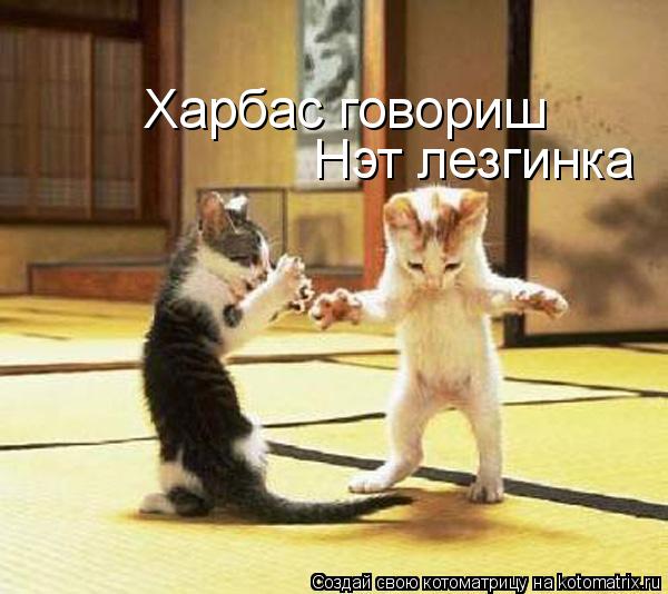 Харбас говориш Нэт лезгинка... Котоматрица: Харбас говориш Нэт лезгинка
