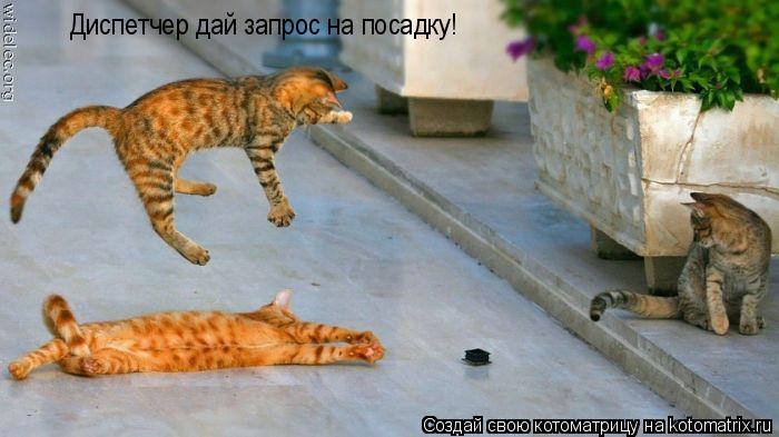 Диспетчер дай запрос на посадку!... Котоматрица: Диспетчер дай запрос на посадку!