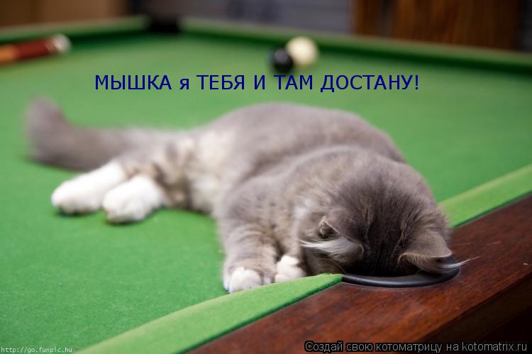 Котоматрица: МЫШКА я ТЕБЯ И ТАМ ДОСТАНУ!