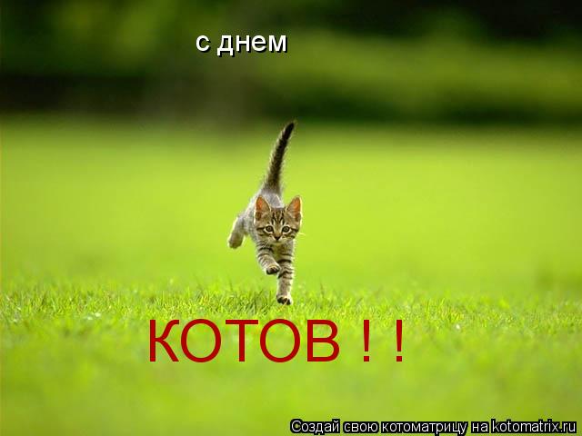 Котоматрица: с днем КОТОВ ! !