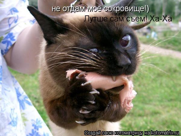 не отдам моё сокровище!) не отдам моё сокровище!) Лутше сам съем! Ха-Ха Лутше сам съем! Ха-Ха... Котоматрица: не отдам моё сокровище!) не отдам моё сокровище!) Лутше сам съем! Ха-Ха Лутше сам съем! Ха-Ха