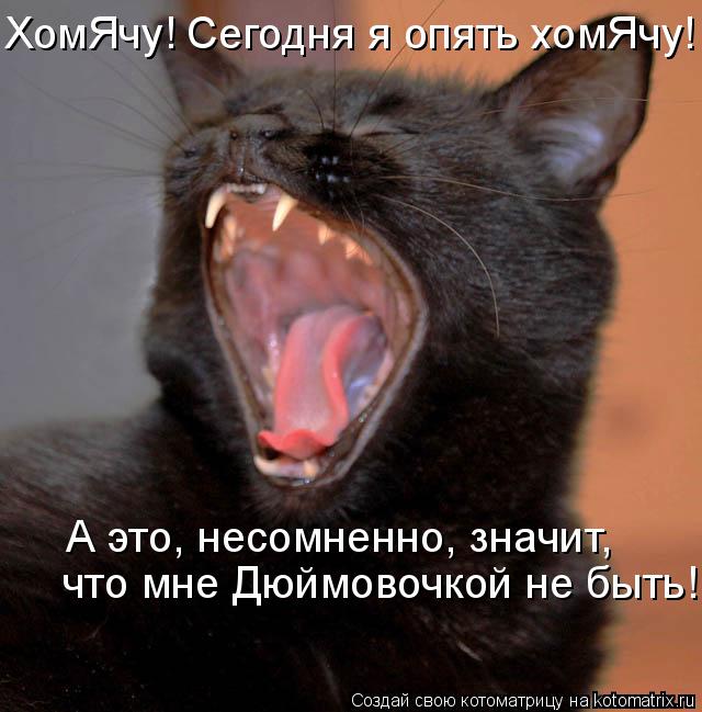 ХомЯчу! Сегодня я опять хомЯчу! А это, несомненно, значит, что мне Дюймовочкой не быть!... Котоматрица: ХомЯчу! Сегодня я опять хомЯчу! А это, несомненно, значит, что мне Дюймовочкой не быть!