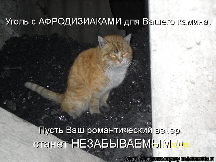 Пусть Ваш романтический вечер Уголь с АФРОДИЗИАКАМИ для Вашего камина. станет НЕЗАБЫВАЕМЫМ !!!... Котоматрица: Пусть Ваш романтический вечер Уголь с АФРОДИЗИАКАМИ для Вашего камина. станет НЕЗАБЫВАЕМЫМ !!!