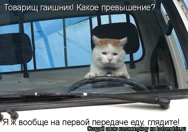 Товарищ гаишник! Какое превышение? Я ж вообще на первой передаче еду, глядите!... Котоматрица: Товарищ гаишник! Какое превышение? Я ж вообще на первой передаче еду, глядите!
