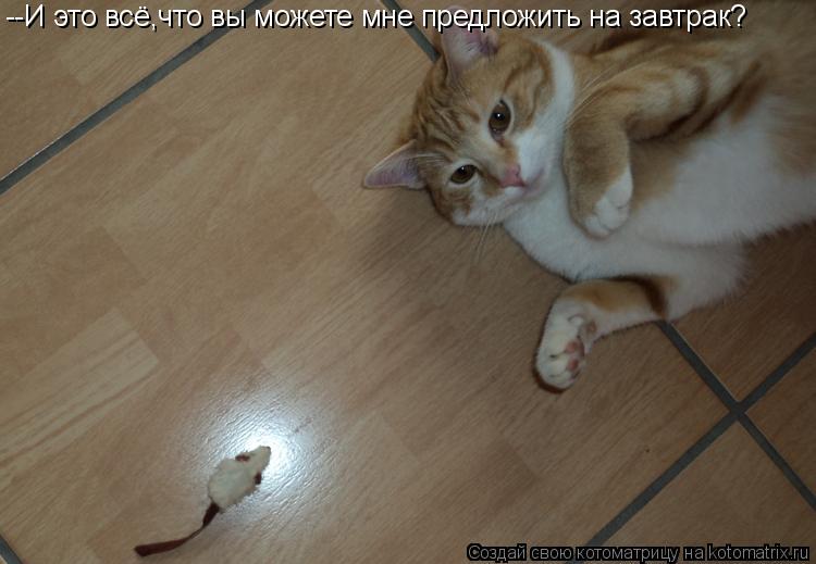 --И это всё,что вы можете мне предложить на завтрак?... Котоматрица: --И это всё,что вы можете мне предложить на завтрак?