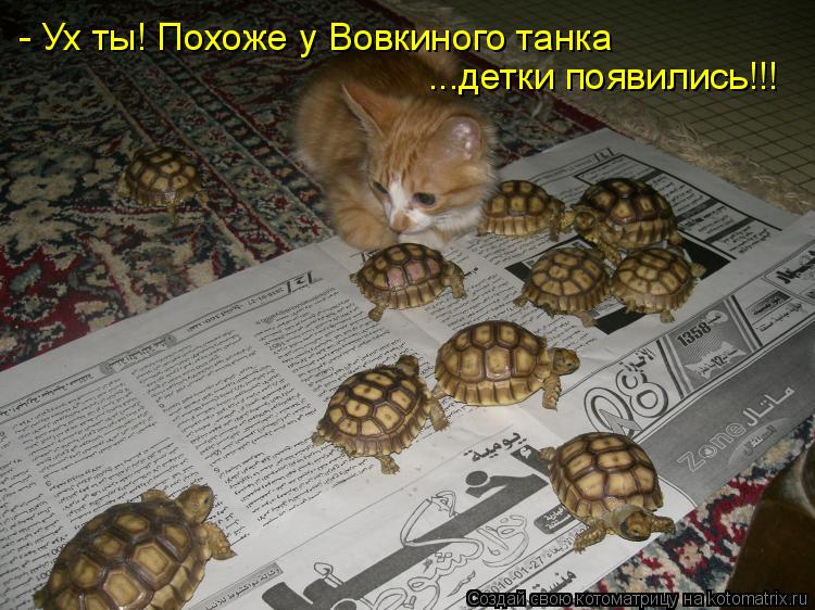 - Ух ты! Похоже у Вовкиного танка ...детки появились!!!... Котоматрица: - Ух ты! Похоже у Вовкиного танка ...детки появились!!!