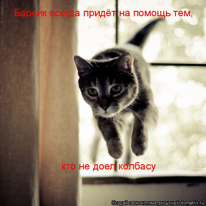 Котоматрица: Барсик всегда придёт на помощь тем, кто не доел колбасу