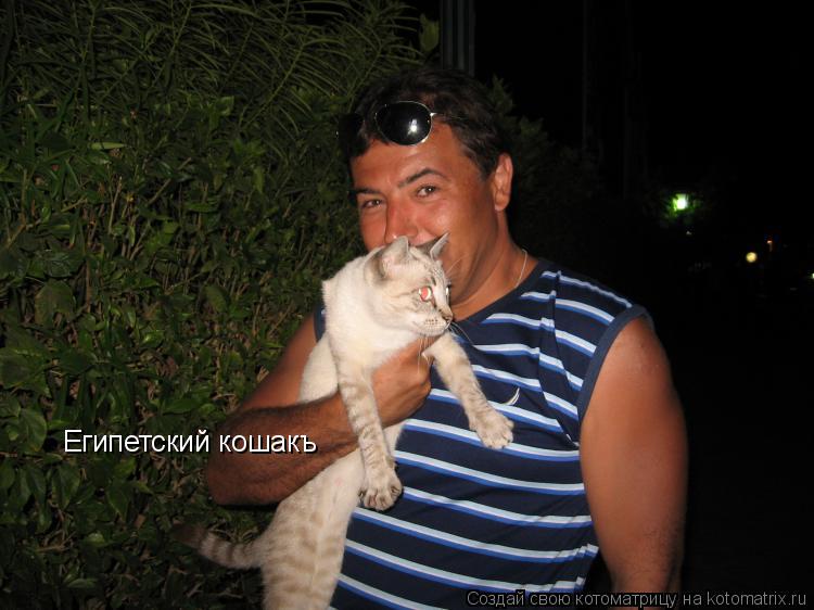 Котоматрица: Египетский кошакъ