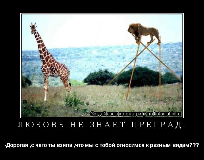 Котоматрица: Любовь не знает преград. -Дорогая ,с чего ты взяла ,что мы с тобой относимся к разным видам???
