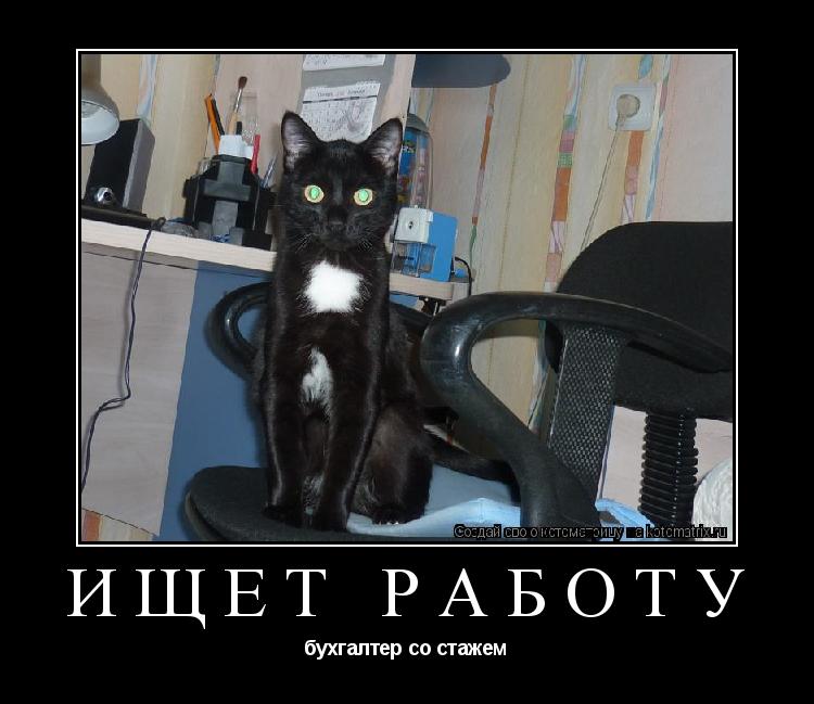Котоматрица: ИЩЕТ РАБОТУ бухгалтер со стажем