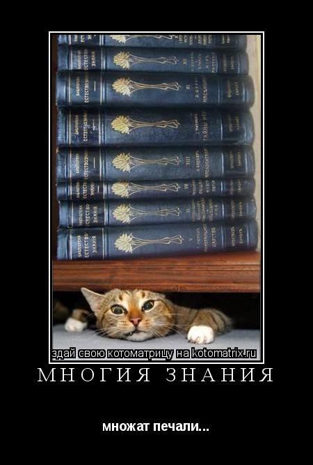 Котоматрица: Многия знания множат печали...