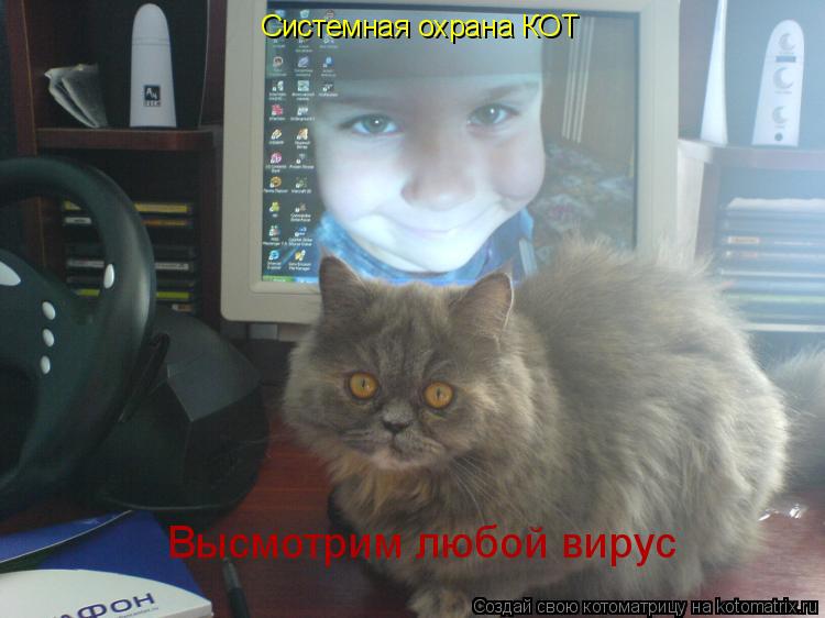 Котоматрица: Системная охрана КОТ Высмотрим любой вирус
